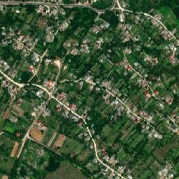Zaliztsi map(satellite map)