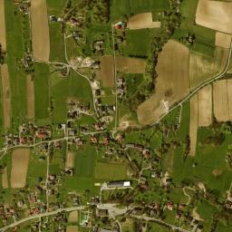 Zamarski map(satellite map)