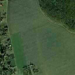 Proni map(satellite map)
