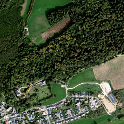 Fischbach map(satellite map)
