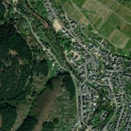 Waldrach map(satellite map)