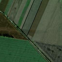 Rokytne Raion map(satellite map)