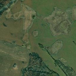 Mikhaylovskiy Rayon map(satellite map)
