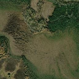 Matagami map(satellite map)