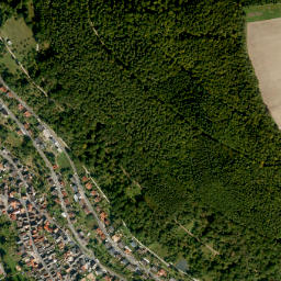 Eichenbühl map(satellite map)