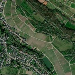 Wiltingen map(satellite map)