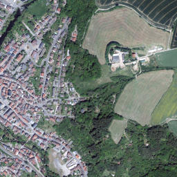 Lauterecken map(satellite map)