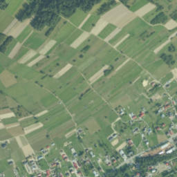 Toporzysko map(satellite map)