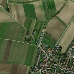 Großniedesheim map(satellite map)