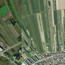 Satelita