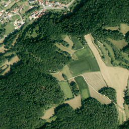 Hirschbach map(satellite map)
