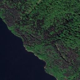 Satelita