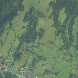 Sieniawa map(satellite map)