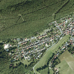 Altleiningen map(satellite map)