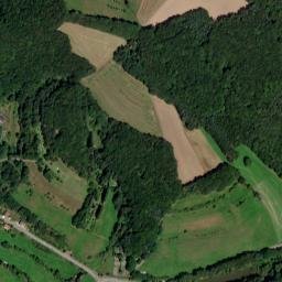Reichenbach-Steegen map(satellite map)