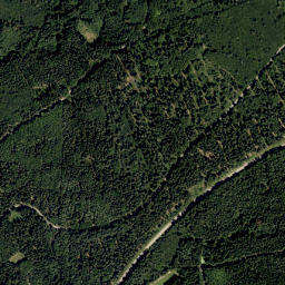 Upper Palatinate map(satellite map)