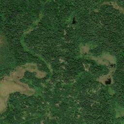 Satellite view of White Moose Golf Course