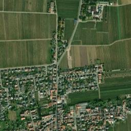 Friedelsheim map(satellite map)