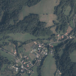 Satelita