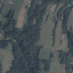 Satelita