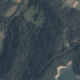 Satelita