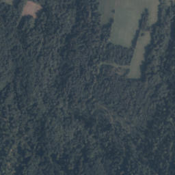Satelita