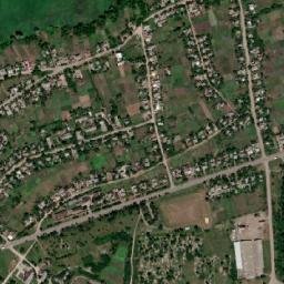 Savyntsi map(satellite map)