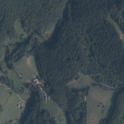 Satelita