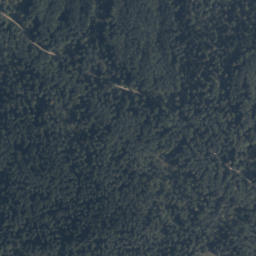 Satelita