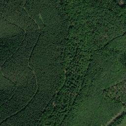 Esthal map(satellite map)