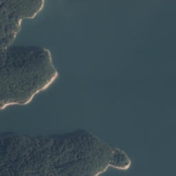 Satelita