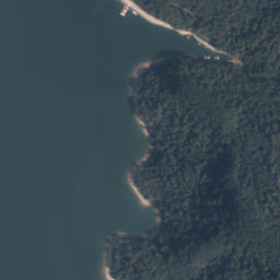 Satelita