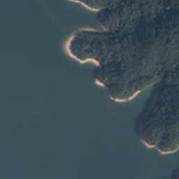 Satelita