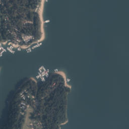 Satelita