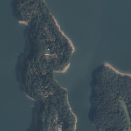 Satelita