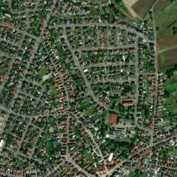 Forst map(satellite map)
