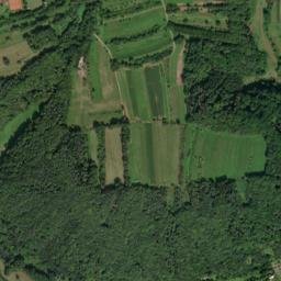 Gossersweiler-Stein map(satellite map)