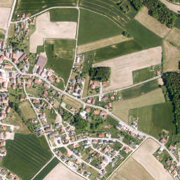 Wald map(satellite map)