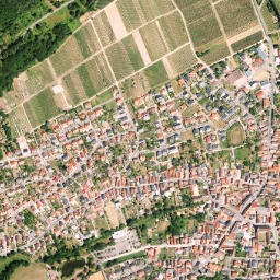 Klingenmünster map(satellite map)
