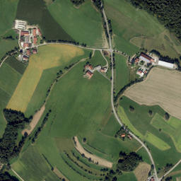 Altenthann map(satellite map)