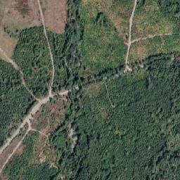 Unnamed Road, Errington, BC V0R 1V0 High Resolution Satellite Map