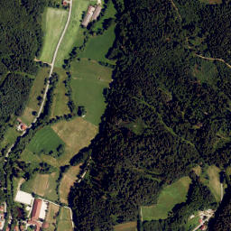 Wiesent map(satellite map)