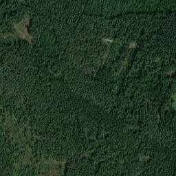 Haugschlag map(satellite map)