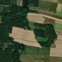 Reingers map(satellite map)