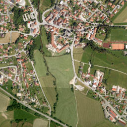 Rinchnach map(satellite map)