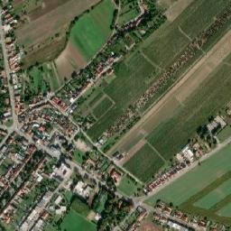 Čejč map(satellite map)