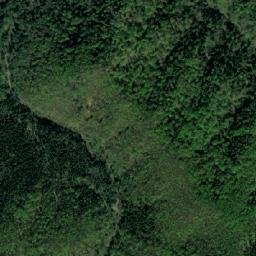 Velykyi Bereznyi Raion map(satellite map)