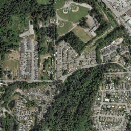 Chemainus map(satellite map)