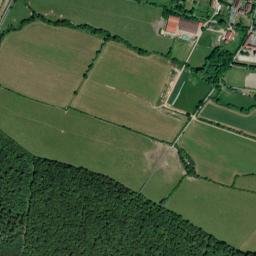 Walbourg map(satellite map)