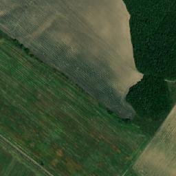 Tlumats’kyy Rayon map(satellite map)